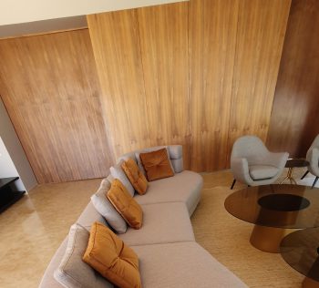 Habillage murale salon