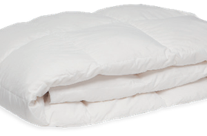 Couette en duvet d’oie 300 g